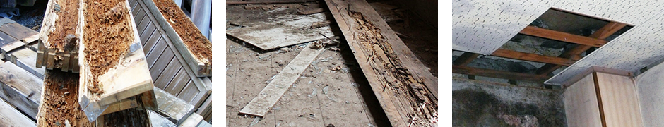 雨漏りによる劣化の様子