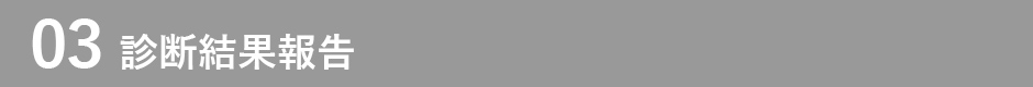 03 診断結果報告